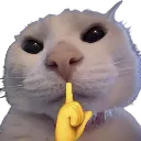 shhhhh
