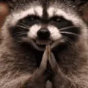 trashypanda