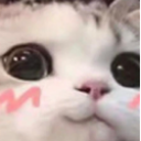 uwu