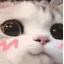 :uwu: