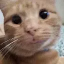 :nicole2: