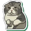 cat_cringe