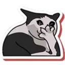 cat_cry