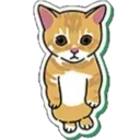 cat_elgato