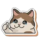 cat_ok