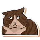 cat_pmo