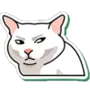 cat_sus