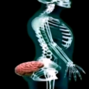 no_brain custom emote | Aura