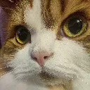 suspicious suspicious