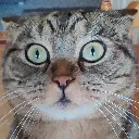 huh