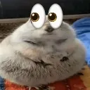 oh