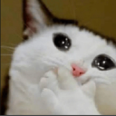 Capture Discord emoji