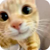 5765cutecat Discord sticker from The Mafia Universe