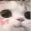 CatUwu
