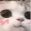 CatUwu custom emote from ƤŞ¥ĆĦ'Ş ĆØŽ¥ ŇØØҜ