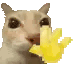 catwave animated emote | 𝐁𝐈𝐉𝐔𝐓𝐒𝐔 𝐒𝐓𝐑𝐄𝐄𝐓 ─ 🔞
