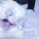 emoji_53 Discord Emoji from ESTRELLAS 💫