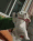 emoji_196