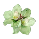 green custom emote | Lemniscate Network