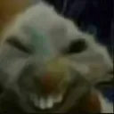 LN_DovahCat