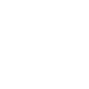 MP_Shield