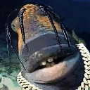 travisscottfish custom emote | The Crimson Corsair