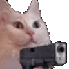 cat_gun