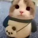wut