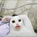 b493524f05dc441f8e8db1a1c89b04db