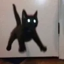 EEK EEK