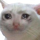 emoji_9 custom emote - dolphin mc