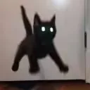 EEK EEK