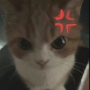 emoji_49 Discord Emoji | —Cats galaxy🌠🐱—