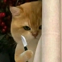 emoji_50 Discord sticker - —Cats galaxy🌠🐱—