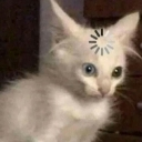 emoji_51 Discord sticker - —Cats galaxy🌠🐱—