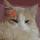 emoji_51 custom emote from —Cats galaxy🌠🐱—