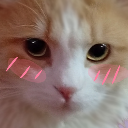 emoji_51 Discord Emoji | —Cats galaxy🌠🐱—