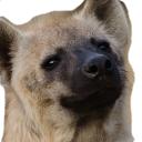 yeenWhar