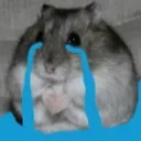 cry