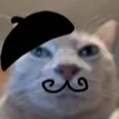catfrench