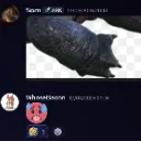 Bacon_likes_megachelon_toes