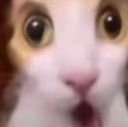 :emoji_91: