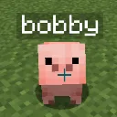 bobby bobby