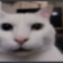 Cat_Huh_Stare custom emote - SOUL ⚔ SOCIETY