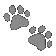 0003paws