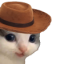 meowdy