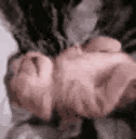 :SCsleeping: