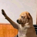 emoji_1 Discord Emoji - 『★』𝑯𝑬𝑹𝑶 𝑪𝑹𝑨𝑭𝑻『★』