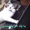 emoji_9 Discord Emoji - 『★』𝑯𝑬𝑹𝑶 𝑪𝑹𝑨𝑭𝑻『★』