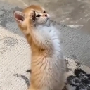 emoji_28 Discord sticker from 『★』𝑯𝑬𝑹𝑶 𝑪𝑹𝑨𝑭𝑻『★』